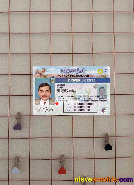 USA Nevada driving license photolook